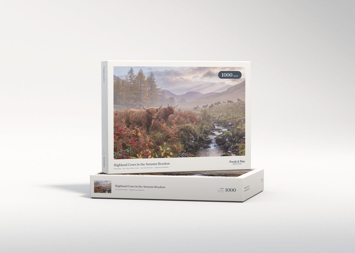 Highland Cows in the Autumn Bracken jigsaw puzzle - gift box