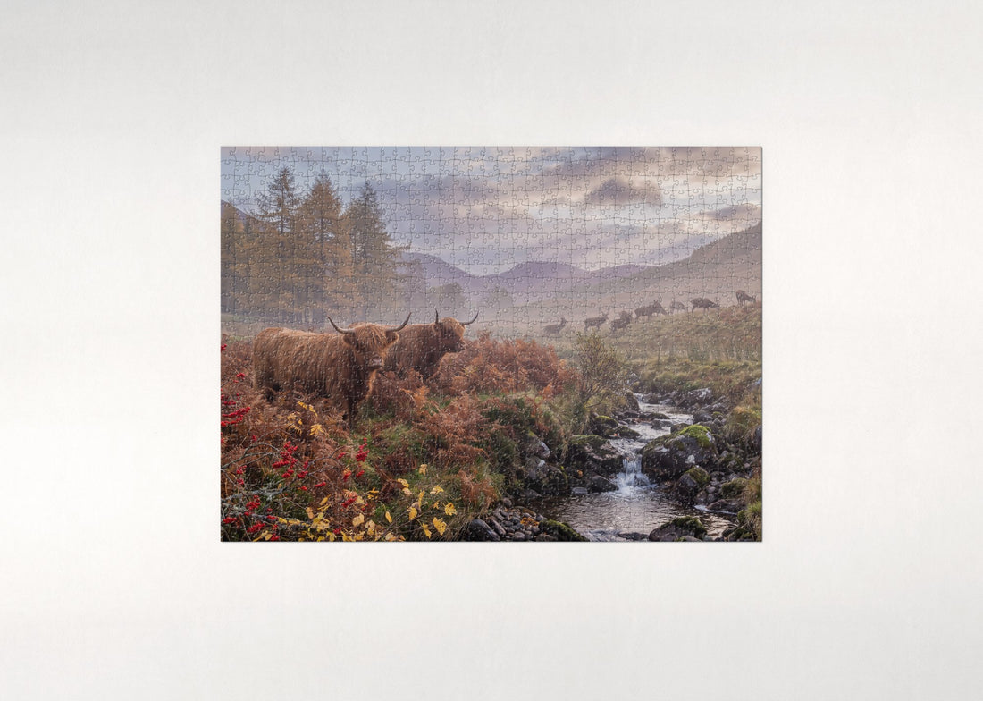 Highland Cows in the Autumn Bracken jigsaw puzzle - gift box