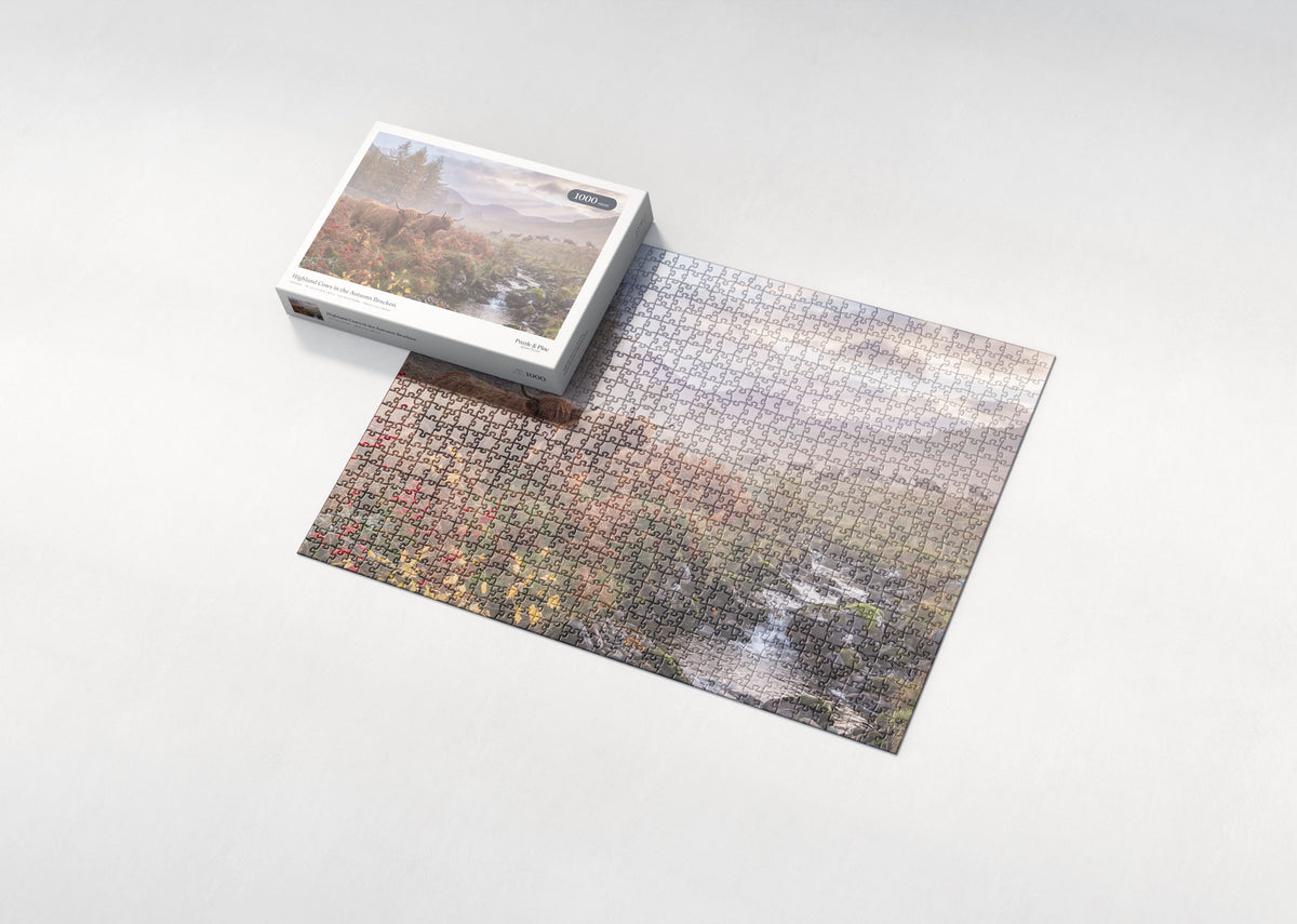 Highland Cows in the Autumn Bracken jigsaw puzzle - box and puzzle