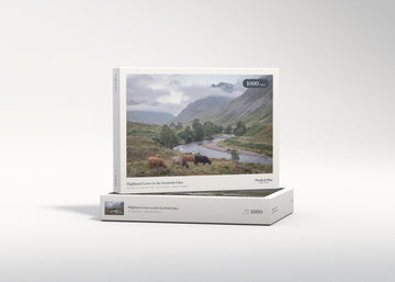 Highland Cows in the Scottish Glen jigsaw puzzle - gift box