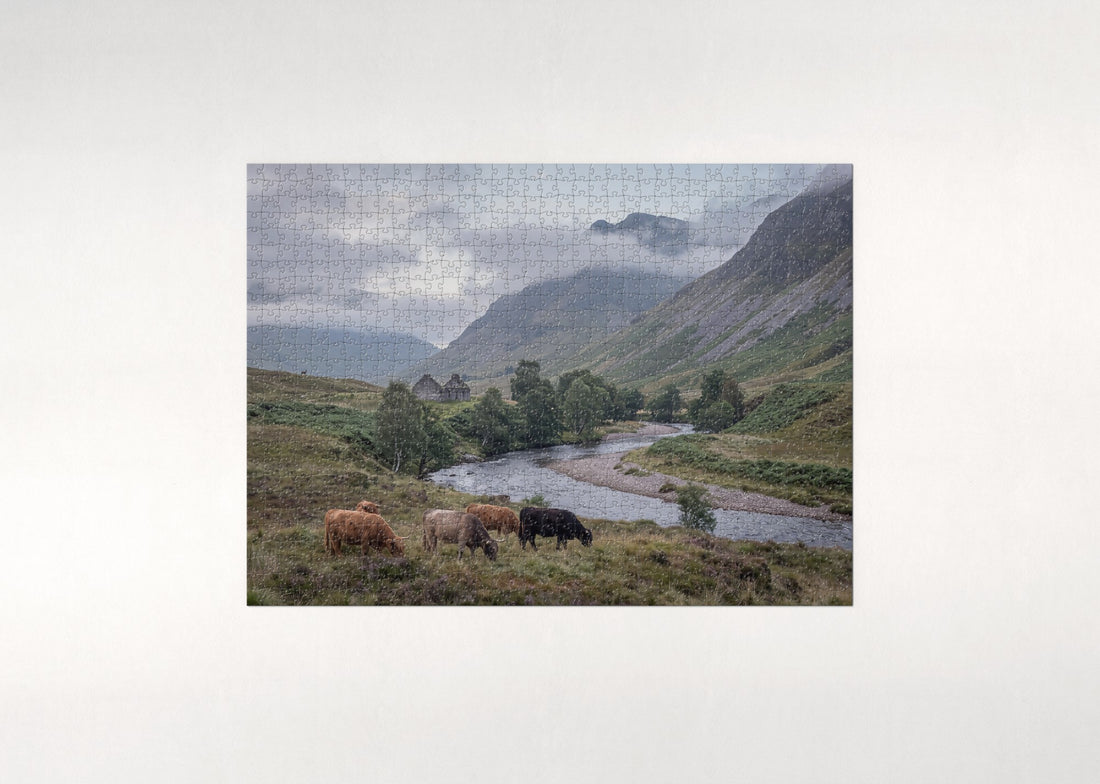 Highland Cows in the Scottish Glen jigsaw puzzle - gift box