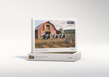 Holstein Cows at the Red Barn jigsaw puzzle - gift box