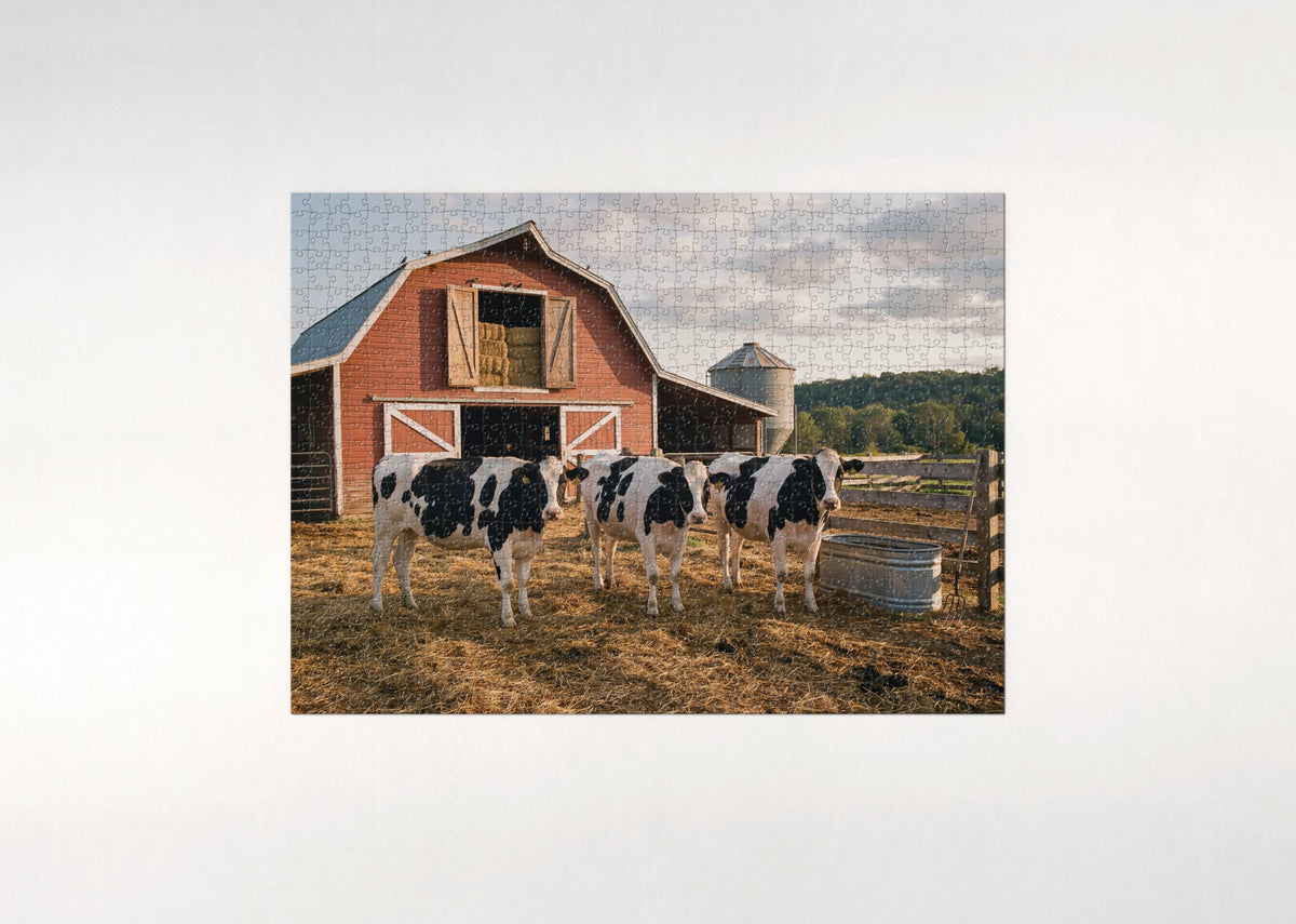 Holstein Cows at the Red Barn jigsaw puzzle - flat puzzle