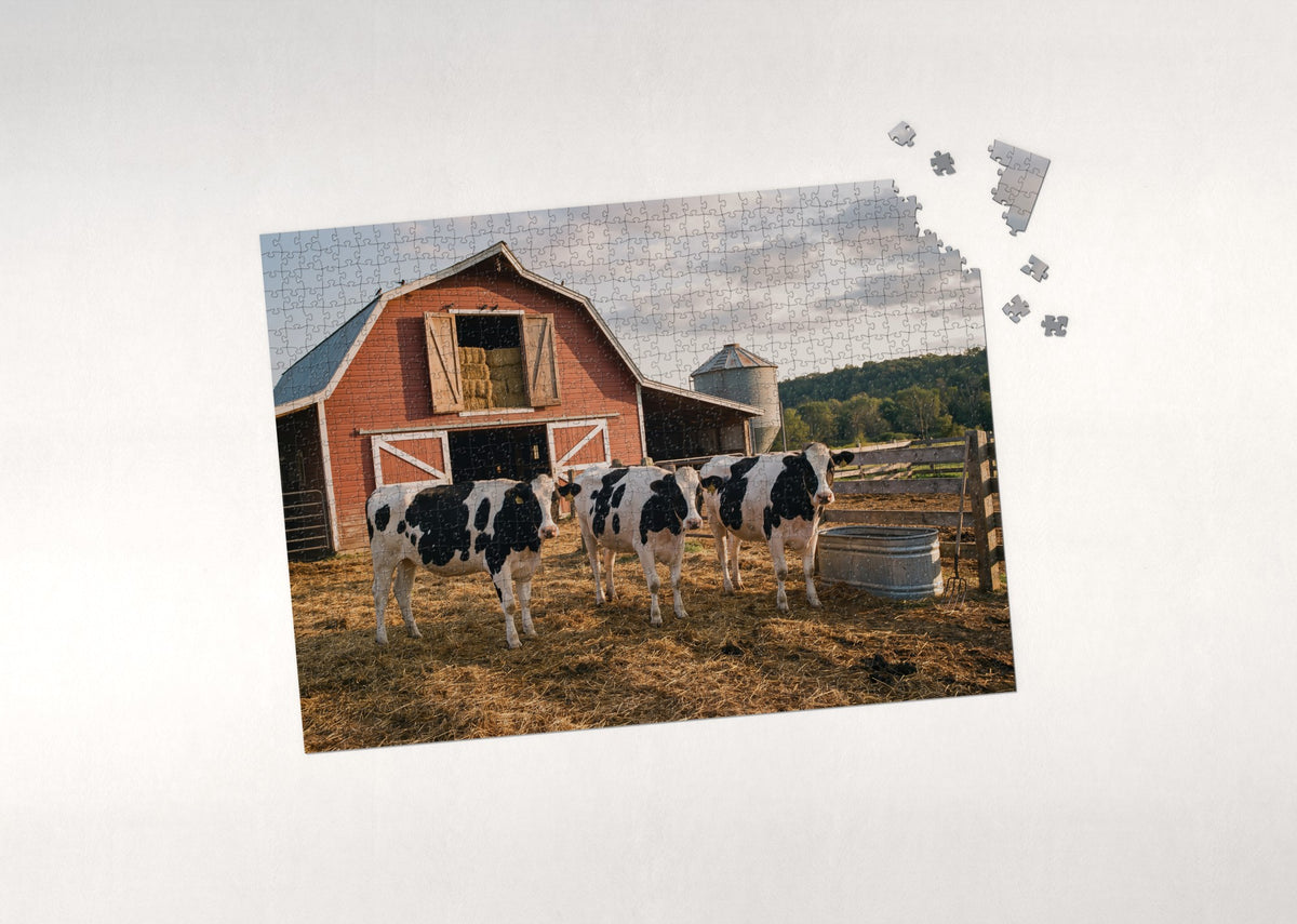 Holstein Cows at the Red Barn jigsaw puzzle - puzzle with loose pieces
