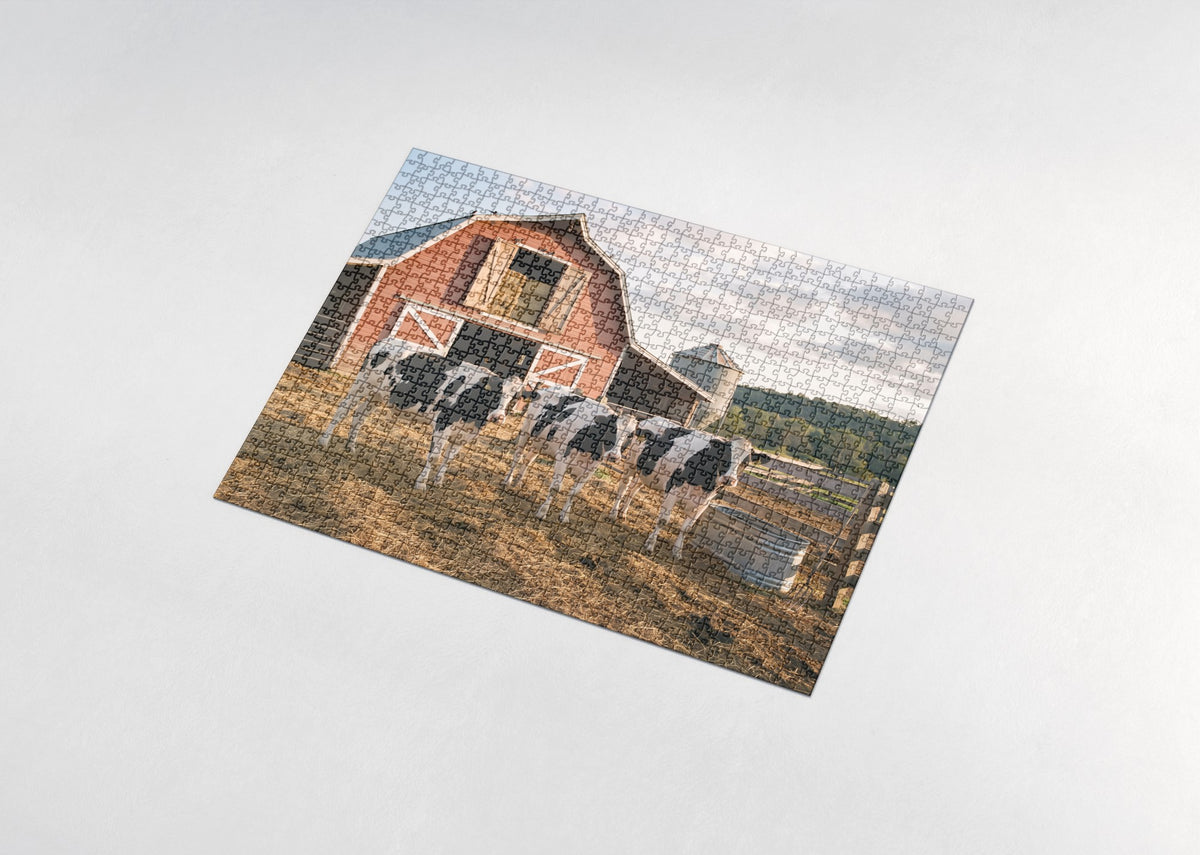 Holstein Cows at the Red Barn jigsaw puzzle - assembled puzzle