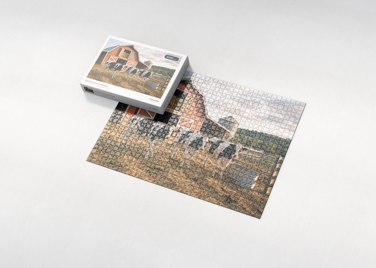 Holstein Cows at the Red Barn jigsaw puzzle - box and puzzle