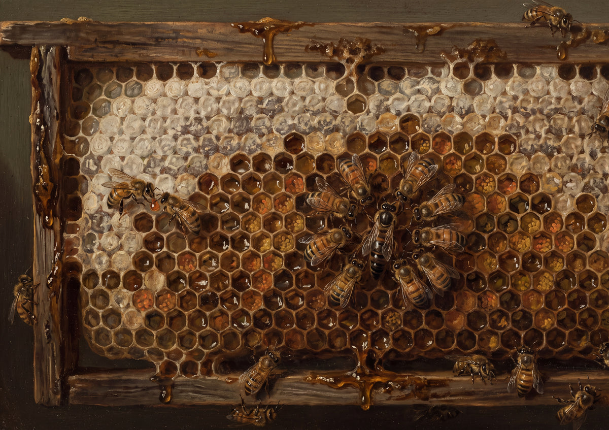 Honeycomb and Bees Close Up jigsaw puzzle