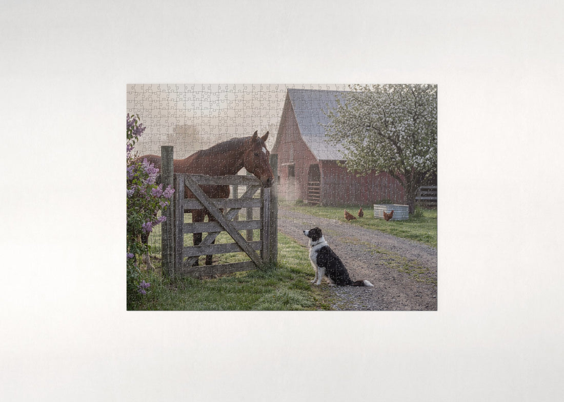 Horse and Farm Dog at the Morning Gate jigsaw puzzle - gift box