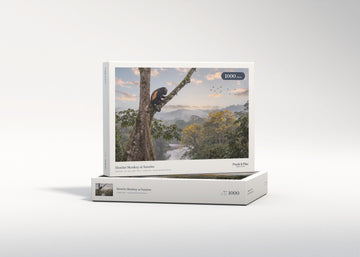 Howler Monkey at Sunrise jigsaw puzzle - gift box