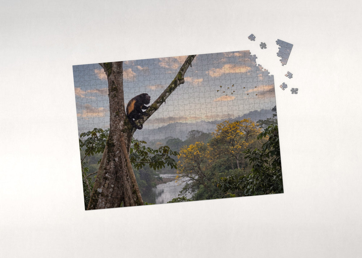 Howler Monkey at Sunrise jigsaw puzzle - puzzle with loose pieces