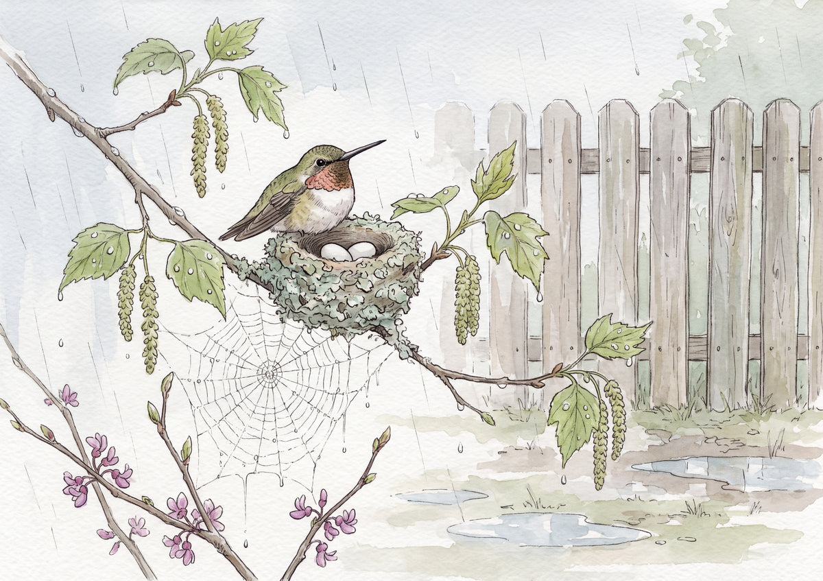 Hummingbird Nest in the Spring Rain jigsaw puzzle