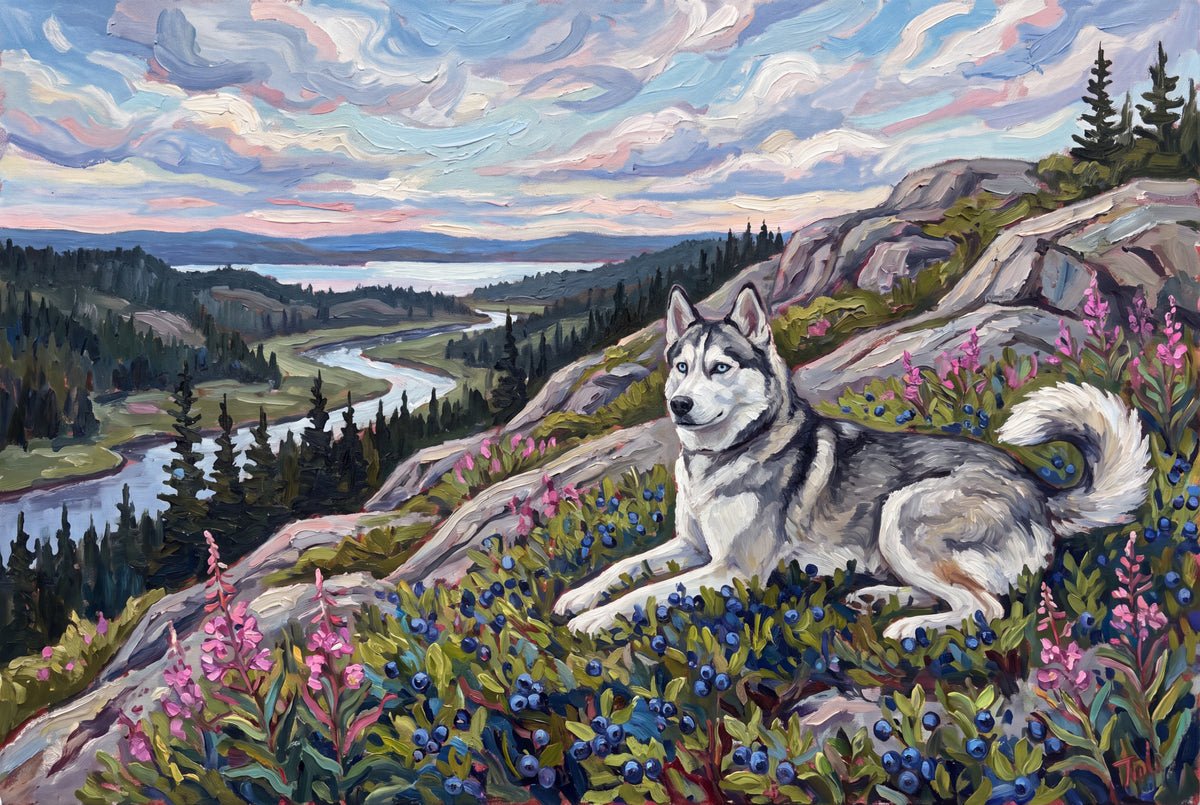 Husky on Blueberry Hill in Summer jigsaw puzzle