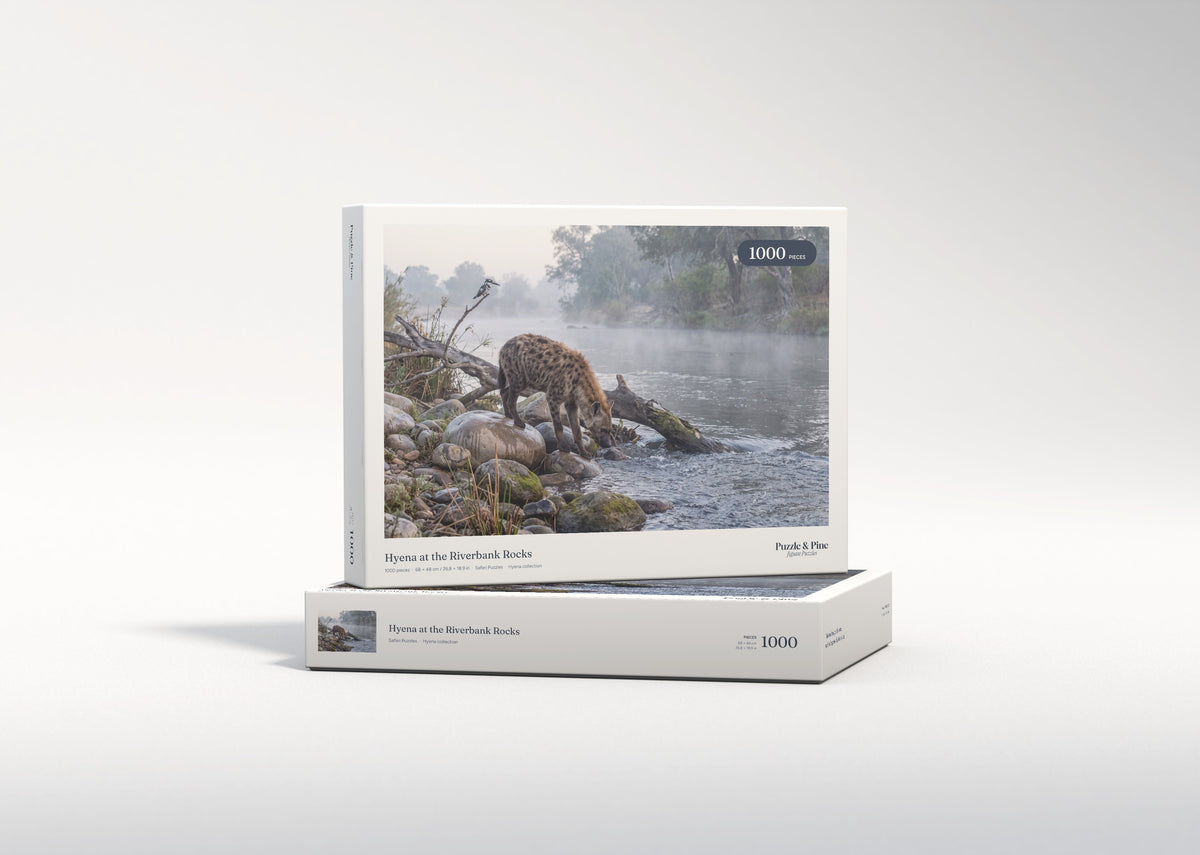 Hyena at the Riverbank Rocks jigsaw puzzle - gift box