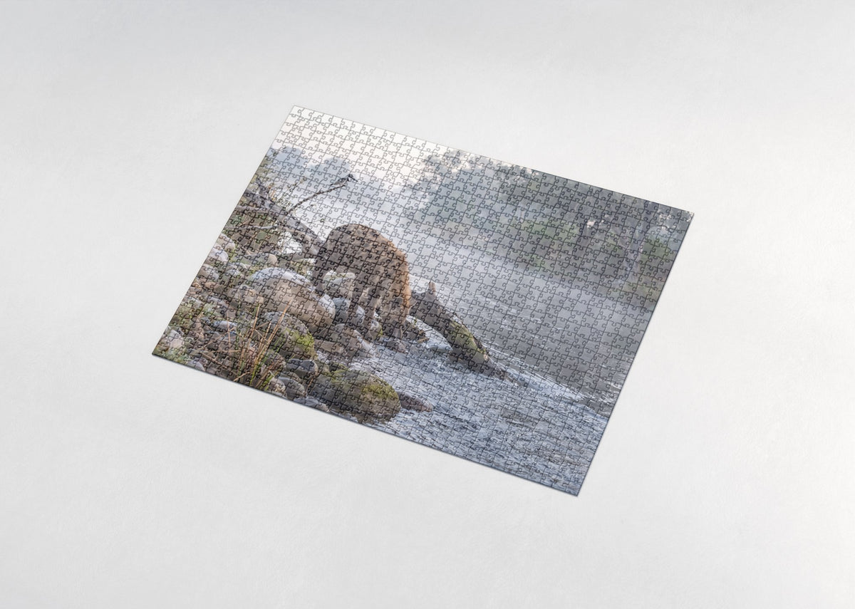 Hyena at the Riverbank Rocks jigsaw puzzle - assembled puzzle