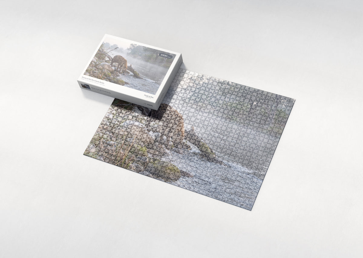 Hyena at the Riverbank Rocks jigsaw puzzle - box and puzzle