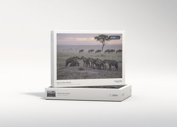 Hyena Clan at Dusk jigsaw puzzle - gift box