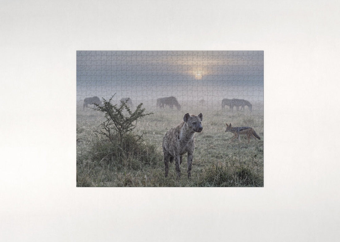 Hyena in the Morning Grass jigsaw puzzle - gift box