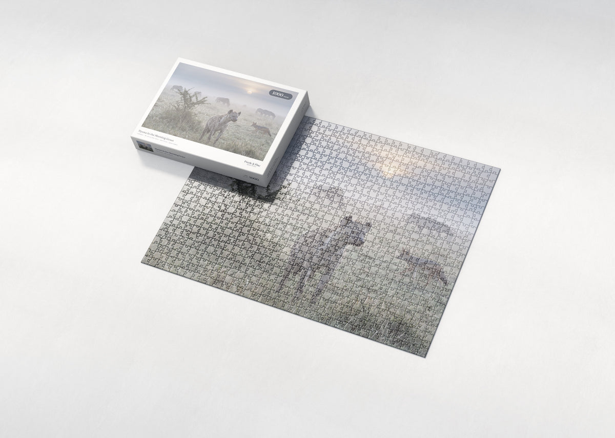 Hyena in the Morning Grass jigsaw puzzle - box and puzzle