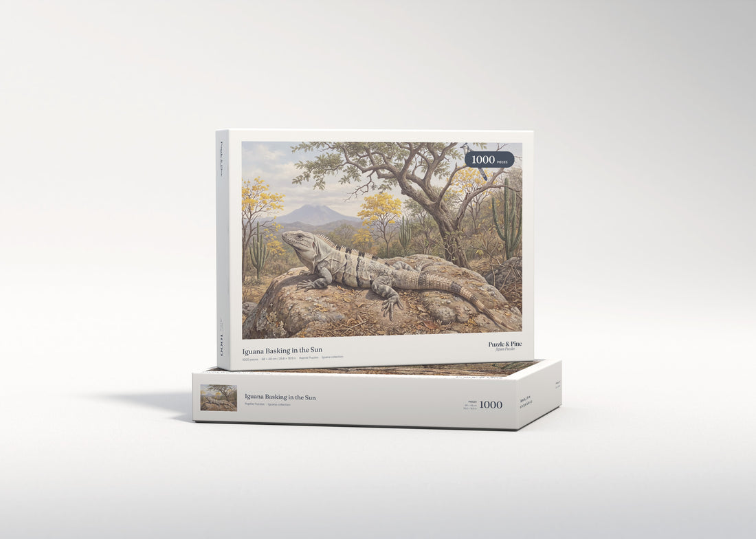 Iguana Basking in the Sun jigsaw puzzle - gift box
