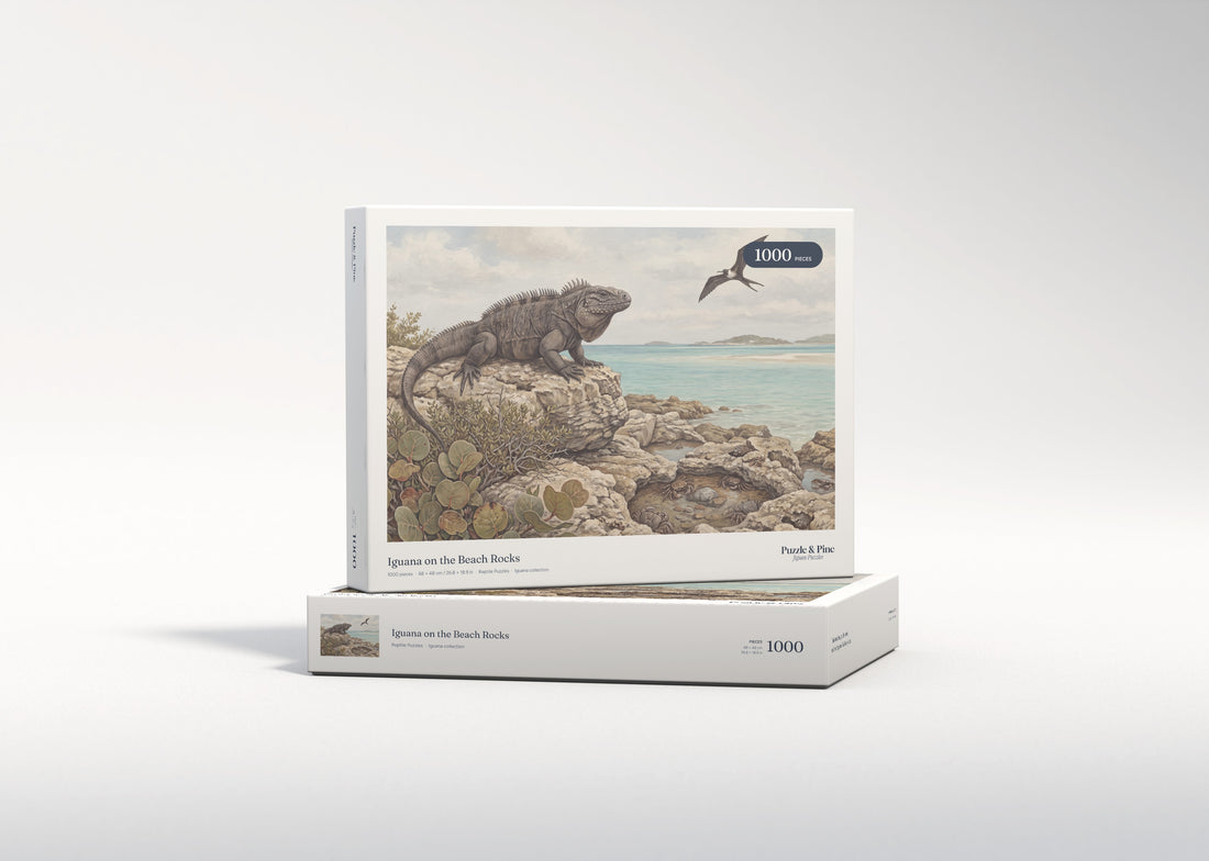 Iguana on the Beach Rocks jigsaw puzzle - gift box