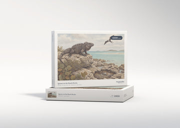 Iguana on the Beach Rocks jigsaw puzzle - gift box