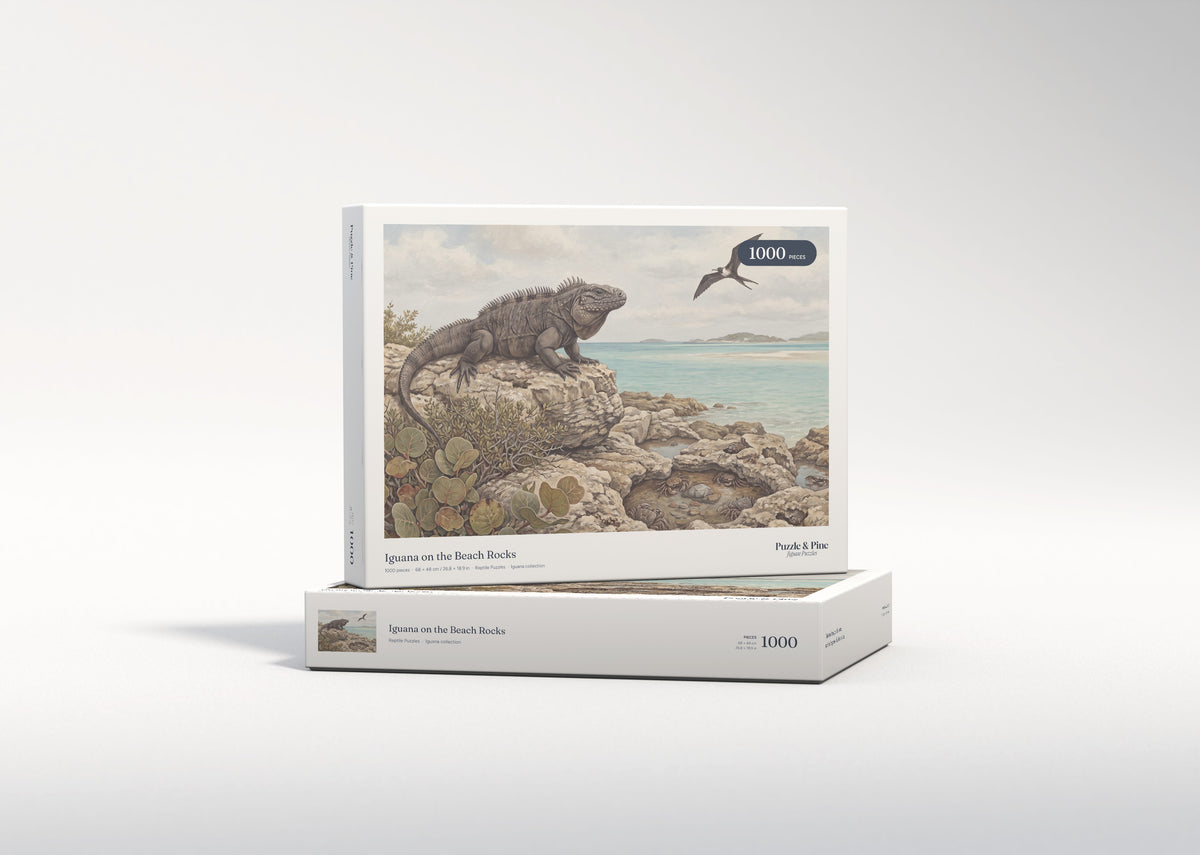 Iguana on the Beach Rocks jigsaw puzzle - gift box