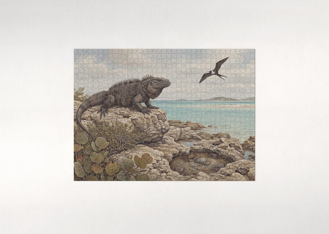Iguana on the Beach Rocks jigsaw puzzle - gift box