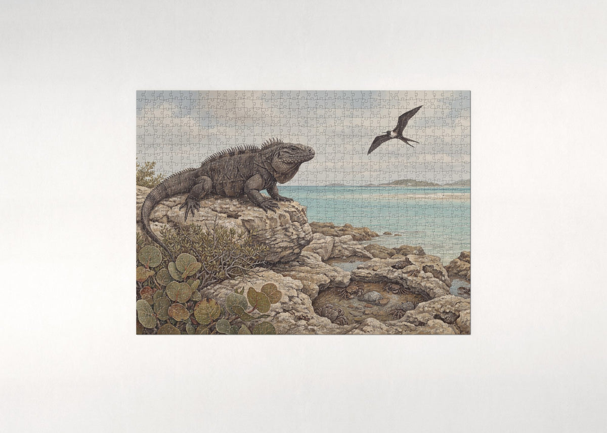 Iguana on the Beach Rocks jigsaw puzzle - flat puzzle