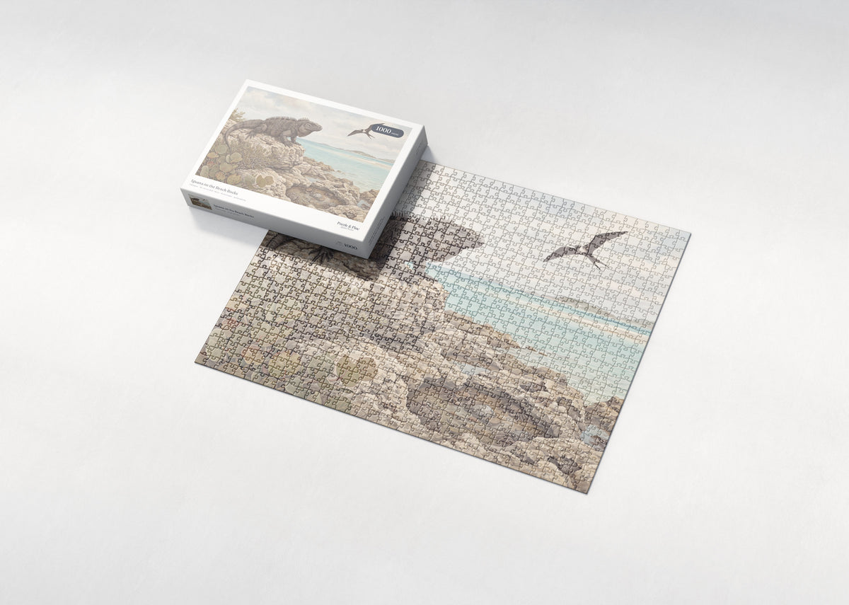 Iguana on the Beach Rocks jigsaw puzzle - box and puzzle
