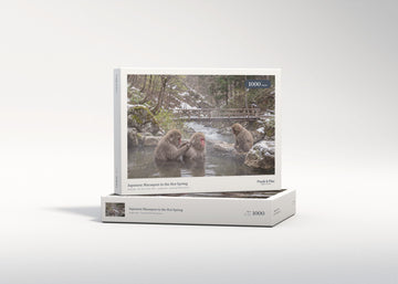 Japanese Macaques in the Hot Spring jigsaw puzzle - gift box