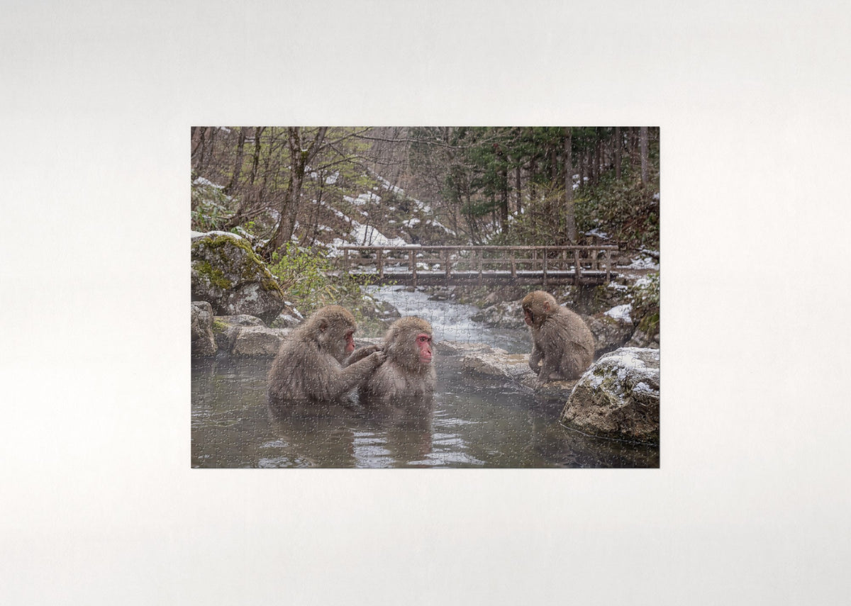 Japanese Macaques in the Hot Spring jigsaw puzzle - flat puzzle