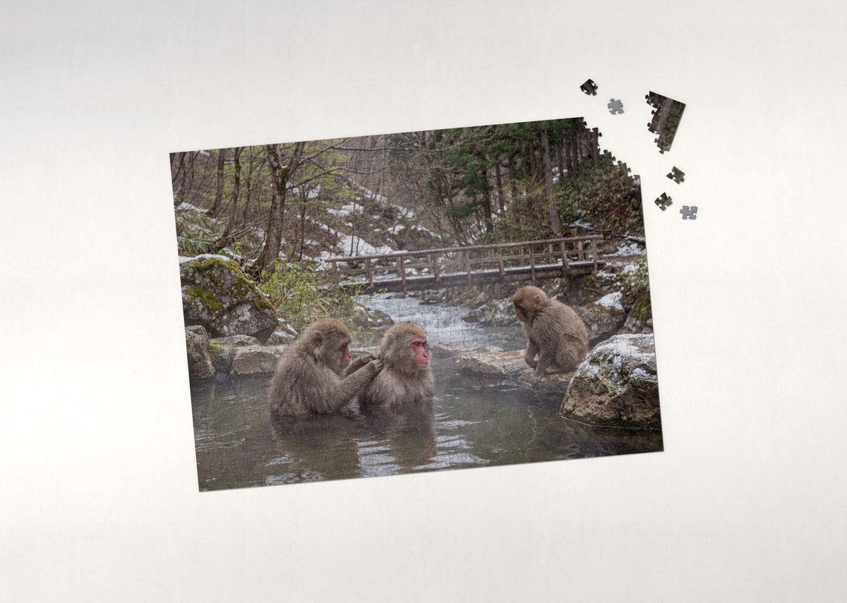 Japanese Macaques in the Hot Spring jigsaw puzzle - puzzle with loose pieces