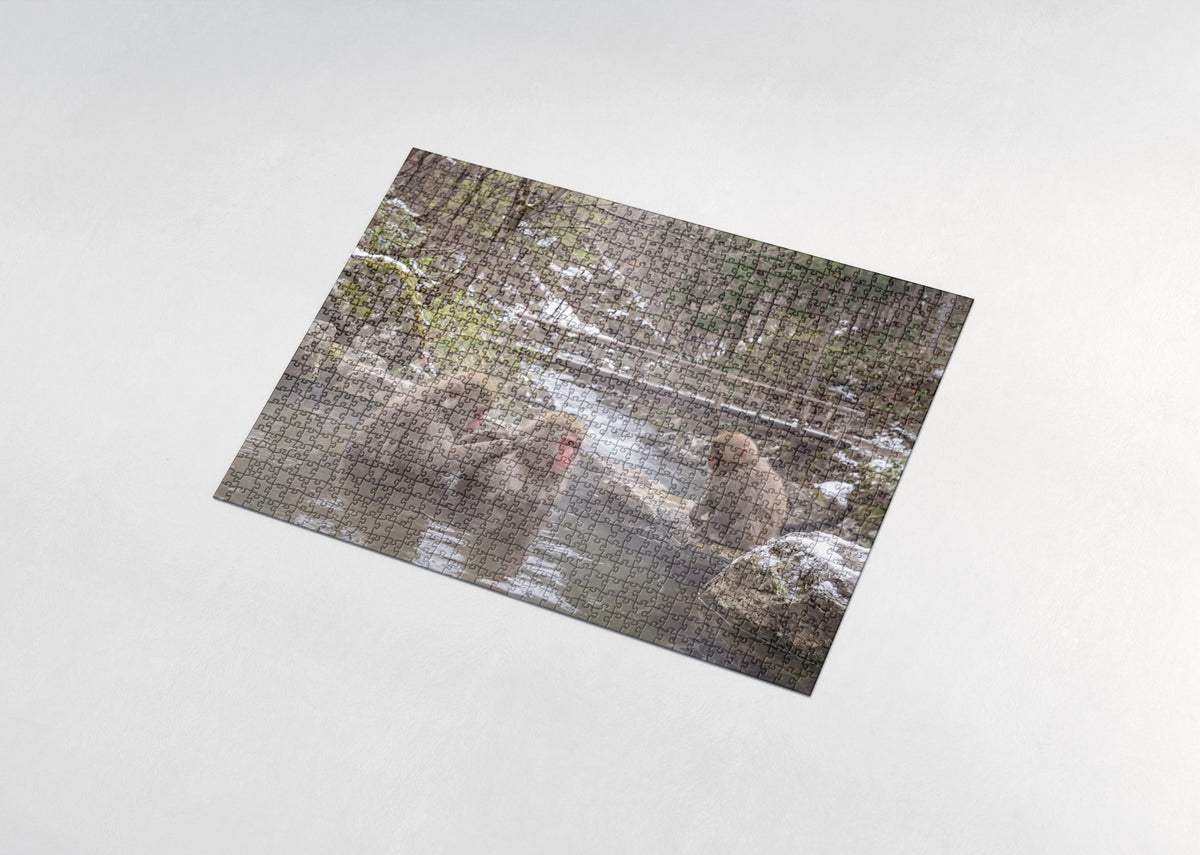 Japanese Macaques in the Hot Spring jigsaw puzzle - assembled puzzle
