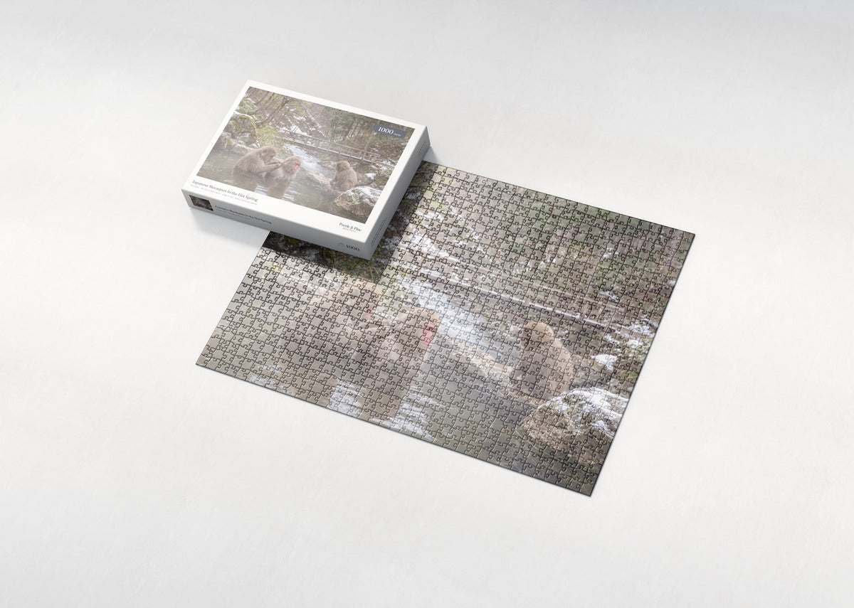 Japanese Macaques in the Hot Spring jigsaw puzzle - box and puzzle