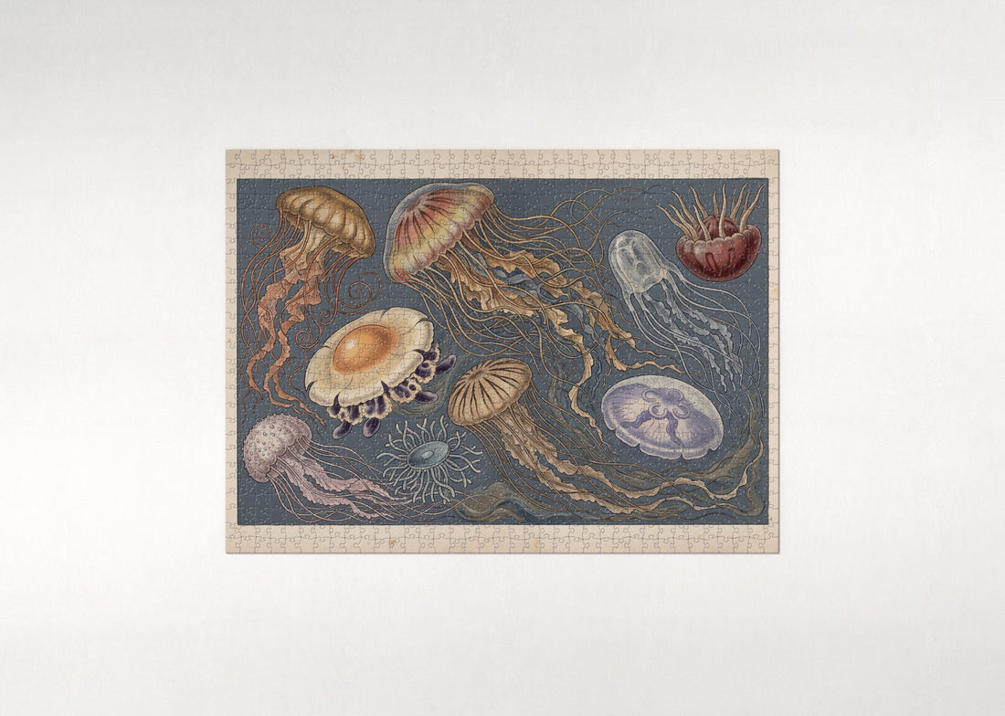 Jellyfish Collage of the Seven Seas jigsaw puzzle - gift box