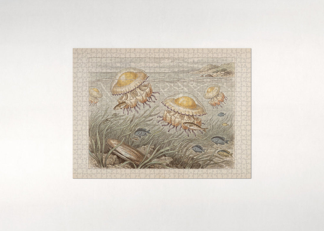 Jellyfish Drifting in the Sunlit Water jigsaw puzzle - gift box