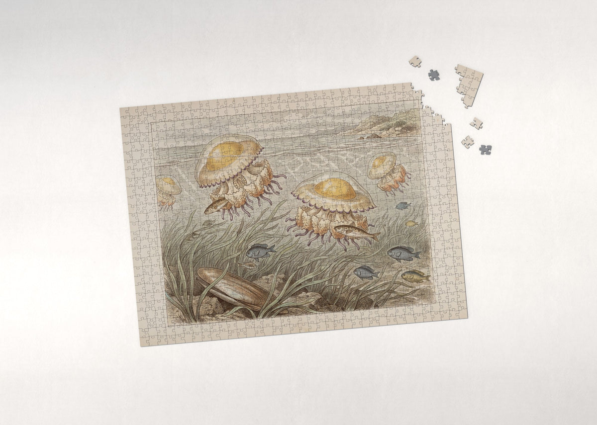 Jellyfish Drifting in the Sunlit Water jigsaw puzzle - puzzle with loose pieces
