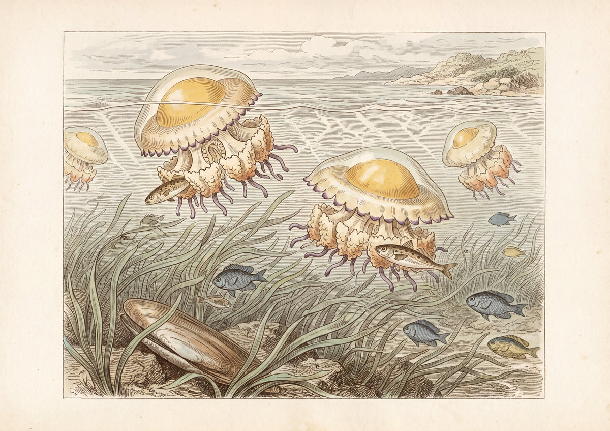 Jellyfish Drifting in the Sunlit Water jigsaw puzzle
