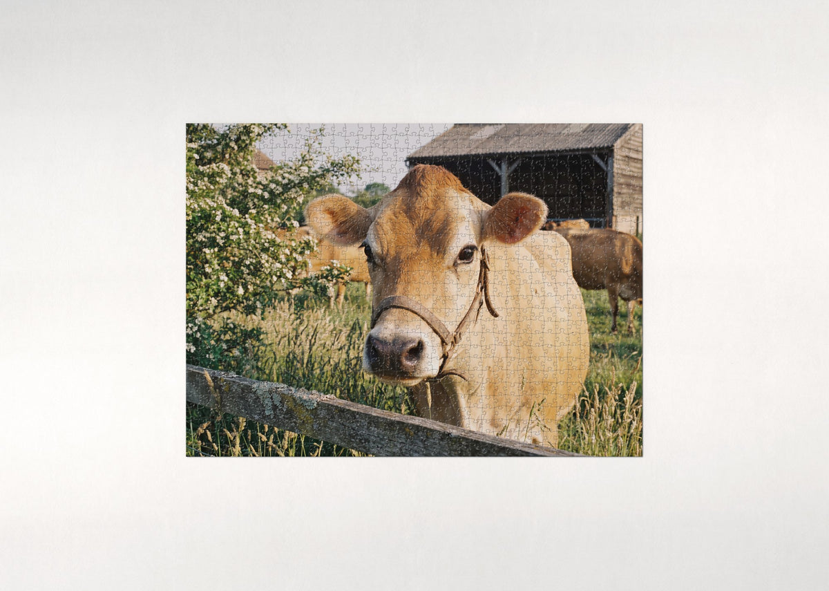 Jersey Cow Portrait jigsaw puzzle - flat puzzle