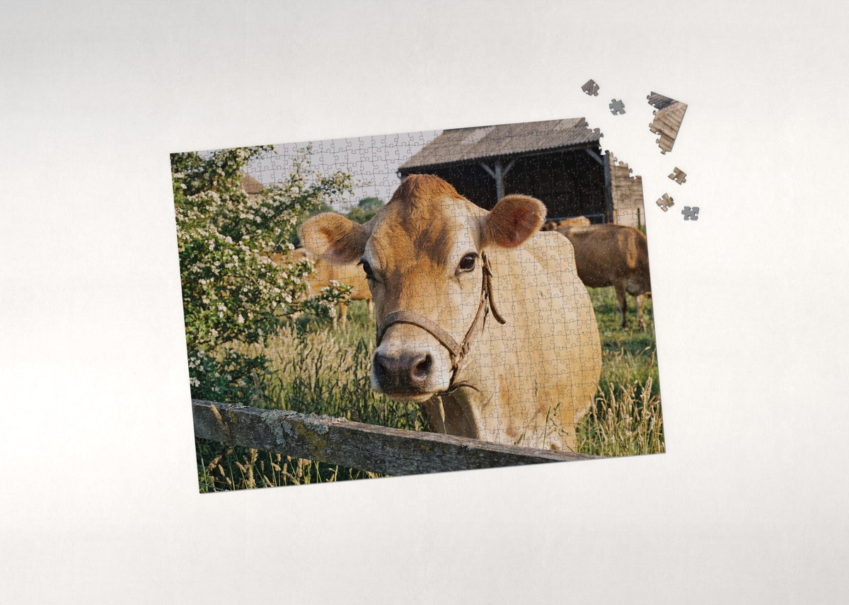 Jersey Cow Portrait jigsaw puzzle - puzzle with loose pieces