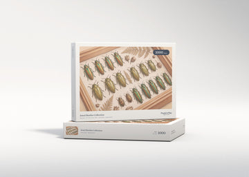 Jewel Beetles Collection jigsaw puzzle - gift box