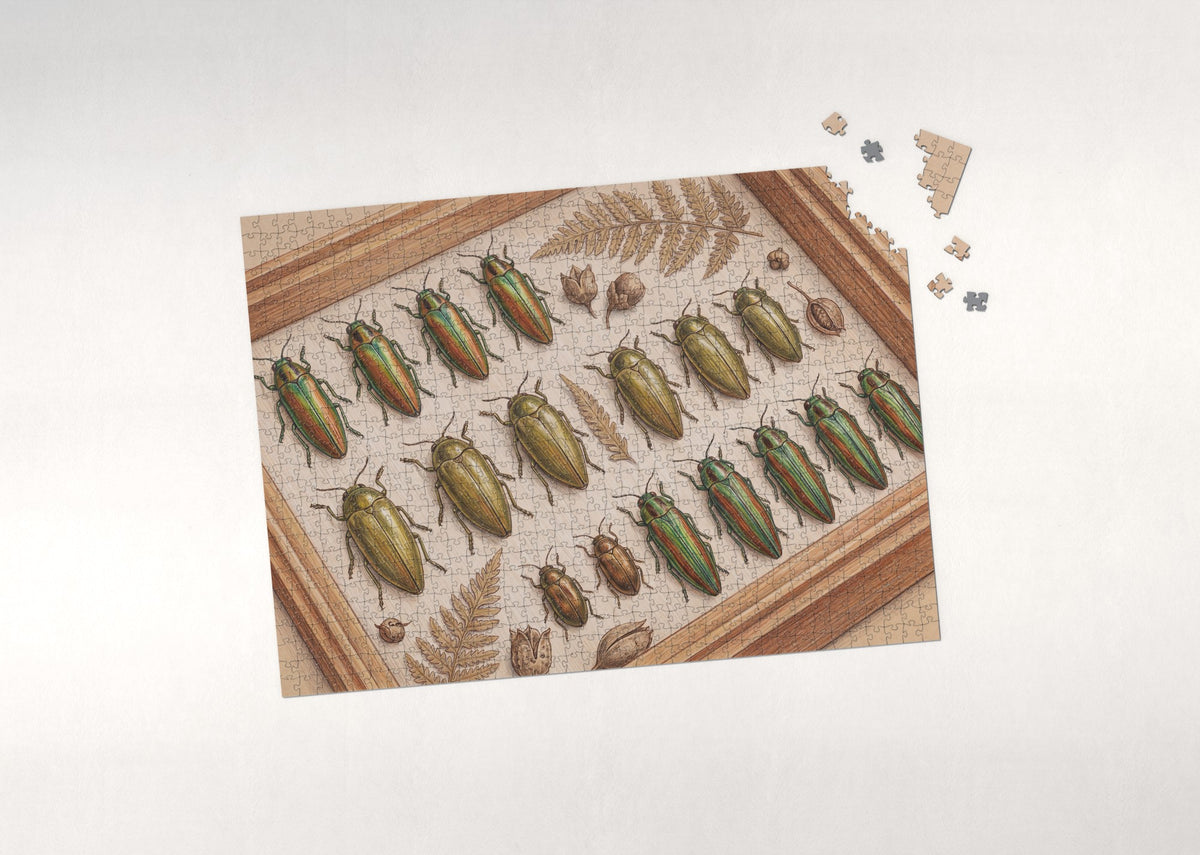 Jewel Beetles Collection jigsaw puzzle - puzzle with loose pieces
