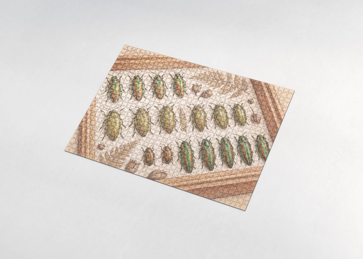 Jewel Beetles Collection jigsaw puzzle - assembled puzzle