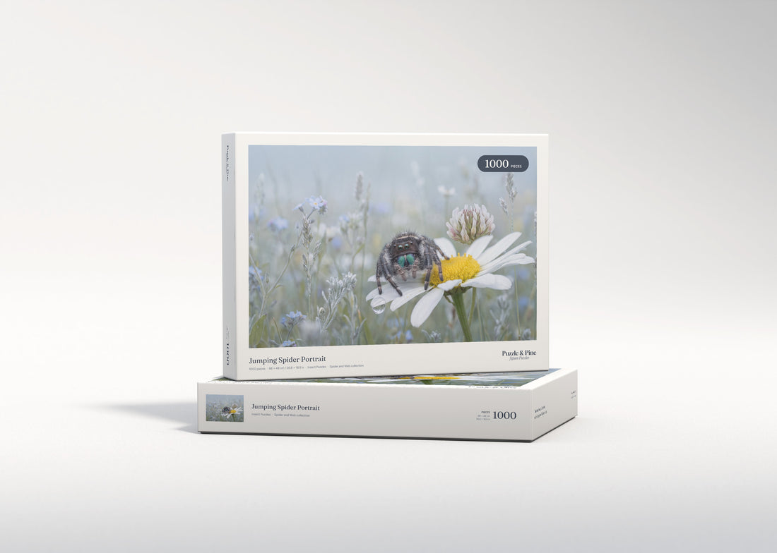 Jumping Spider Portrait jigsaw puzzle - gift box