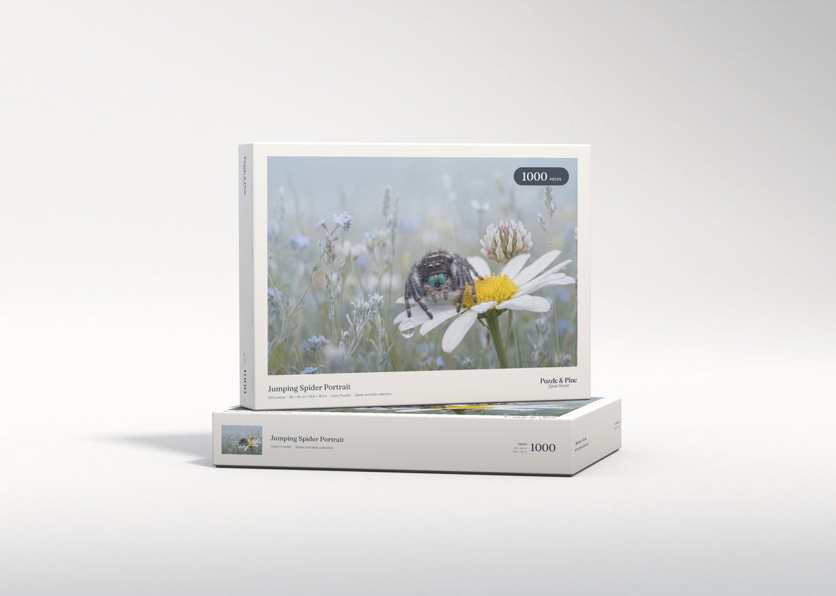 Jumping Spider Portrait jigsaw puzzle - gift box