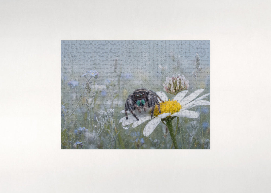 Jumping Spider Portrait jigsaw puzzle - gift box
