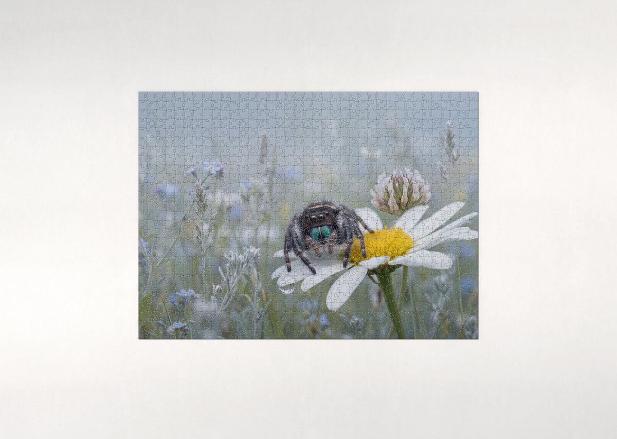 Jumping Spider Portrait jigsaw puzzle - flat puzzle