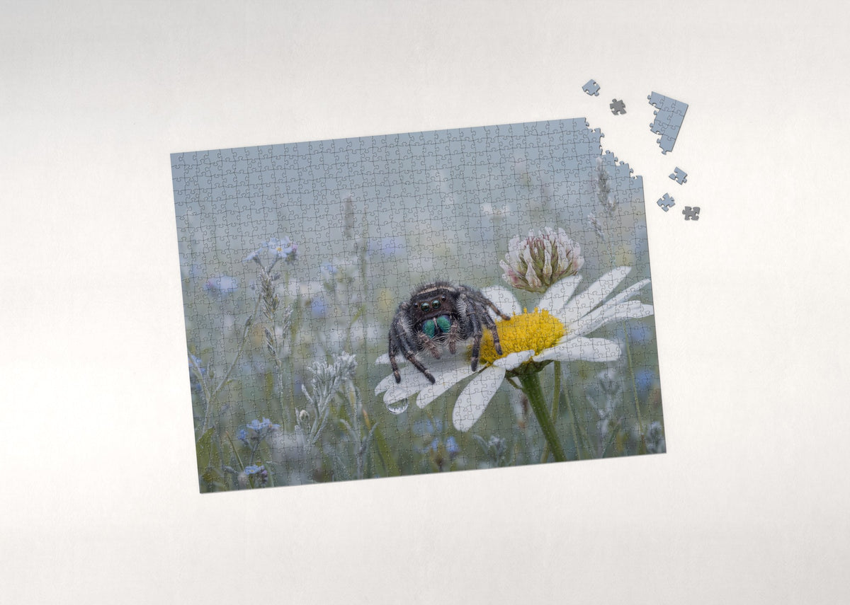 Jumping Spider Portrait jigsaw puzzle - puzzle with loose pieces