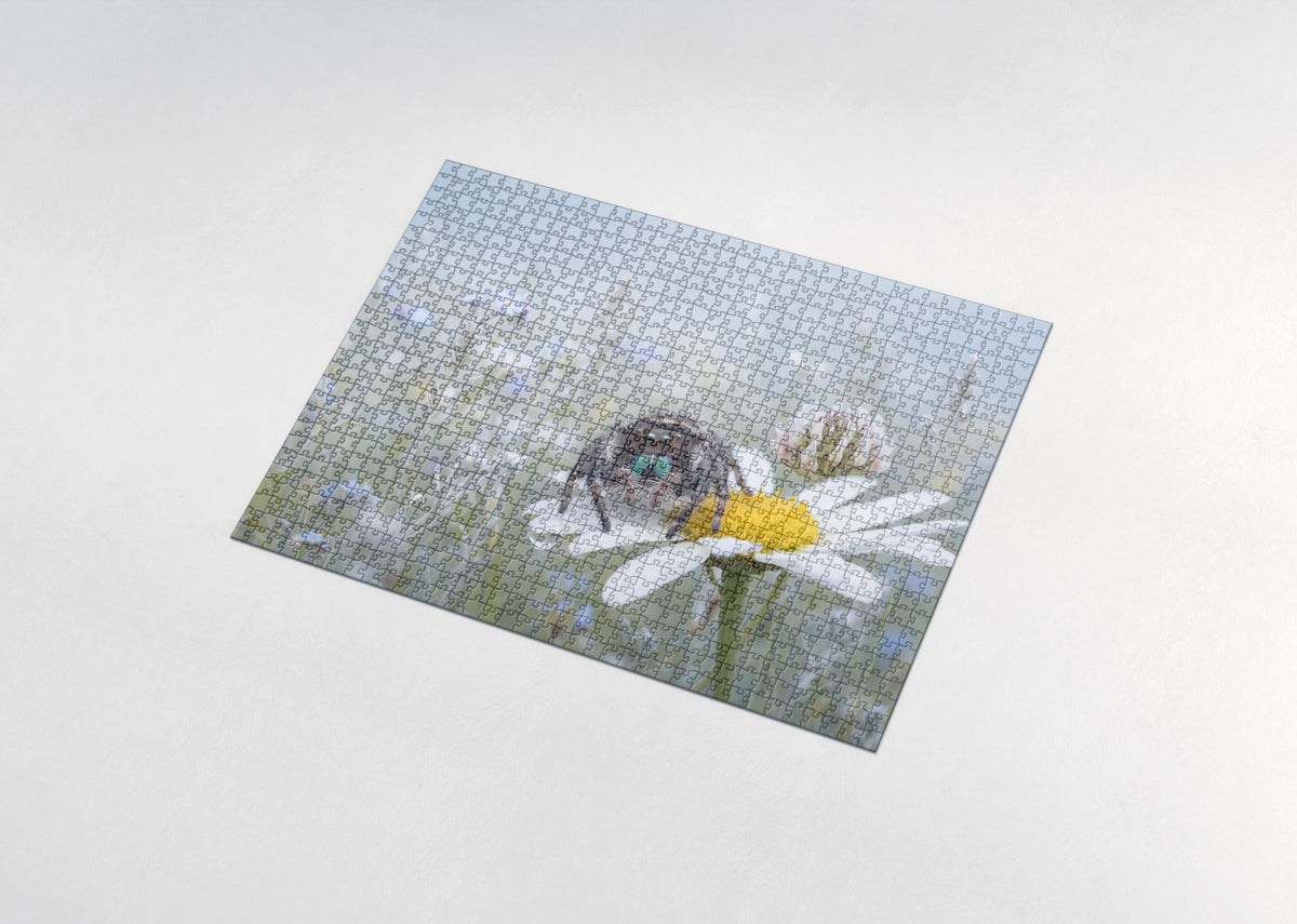 Jumping Spider Portrait jigsaw puzzle - assembled puzzle