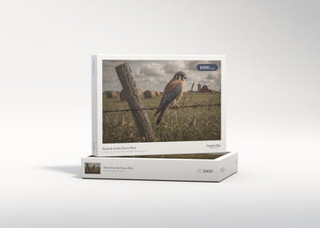 Kestrel on the Fence Wire jigsaw puzzle - gift box